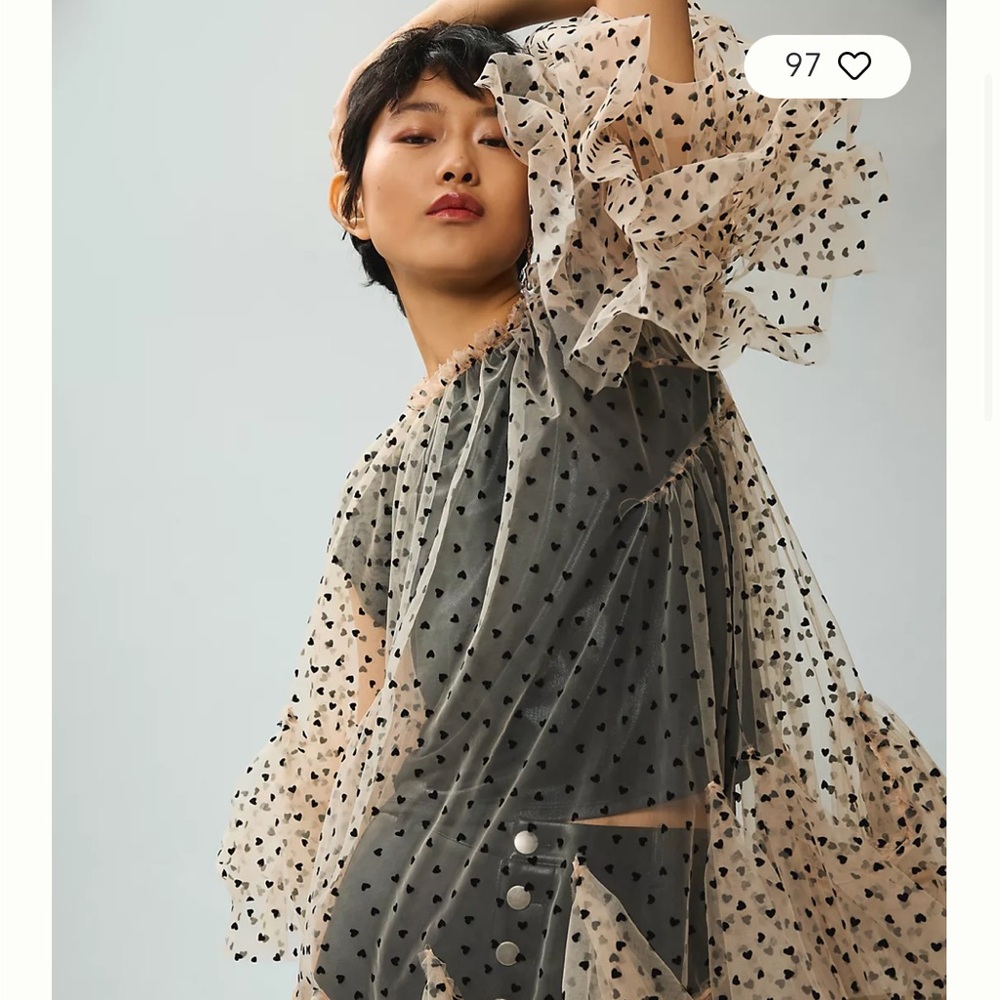 ISO Anthropologie Mini Tulle Layer Dress in the white and heart print